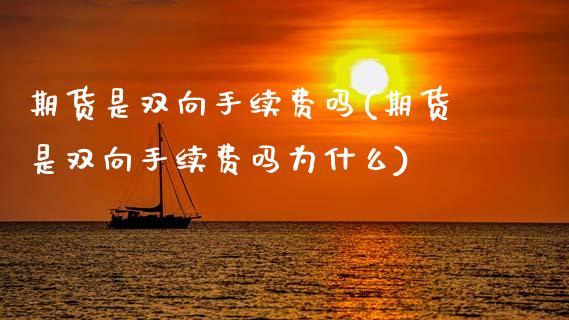 期货是双向手续费吗(期货是双向手续费吗为什么)_https://www.xmqjcw.com_股票投资_第1张