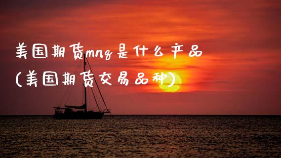 美国期货mnq是什么产品(美国期货交易品种)_https://www.xmqjcw.com_期货百科_第1张