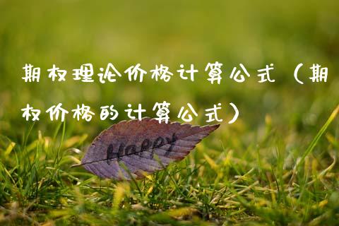 期权理论价格计算公式（期权价格的计算公式）_https://www.xmqjcw.com_期货投资_第1张