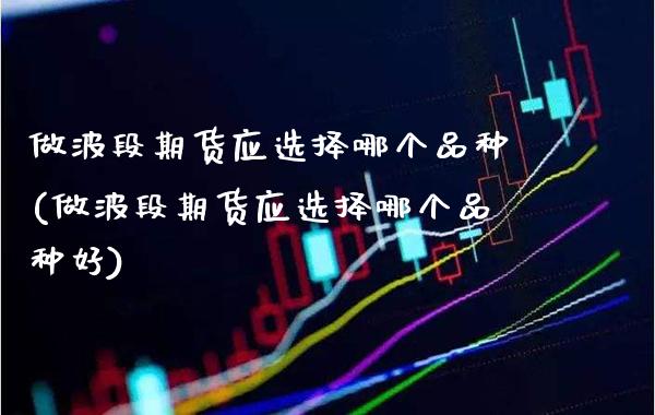 做波段期货应选择哪个品种(做波段期货应选择哪个品种好)_https://www.xmqjcw.com_期货百科_第1张