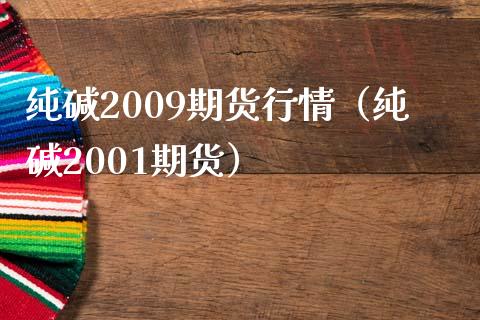 纯碱2009期货行情（纯碱2001期货）_https://www.xmqjcw.com_期货投资_第1张