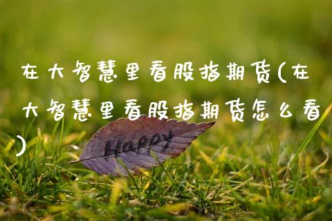 在大智慧里看股指期货(在大智慧里看股指期货怎么看)_https://www.xmqjcw.com_期货百科_第1张