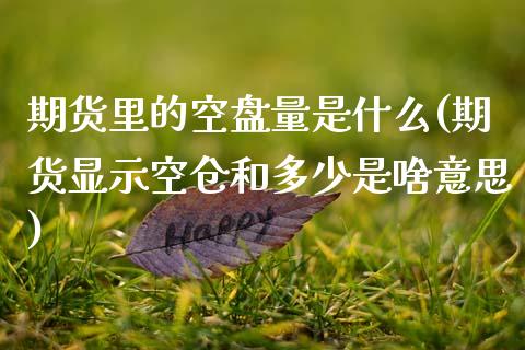 期货里的空盘量是什么(期货显示空仓和多少是啥意思)_https://www.xmqjcw.com_期货百科_第1张