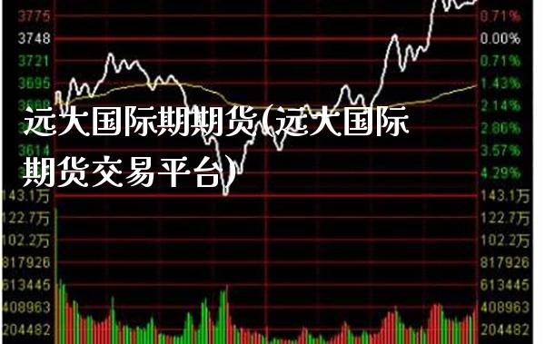 远大国际期期货(远大国际期货交易平台)_https://www.xmqjcw.com_期货投资_第1张