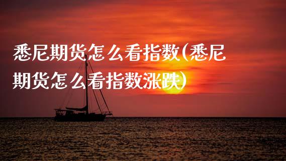 悉尼期货怎么看指数(悉尼期货怎么看指数涨跌)_https://www.xmqjcw.com_期货百科_第1张