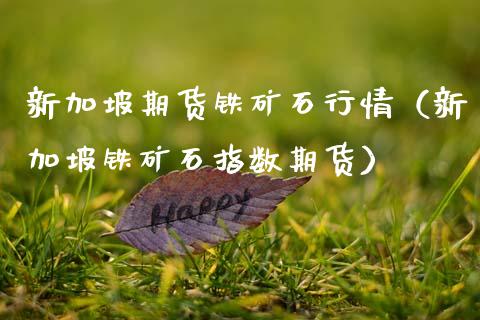 新加坡期货铁矿石行情（新加坡铁矿石指数期货）_https://www.xmqjcw.com_期货投资_第1张