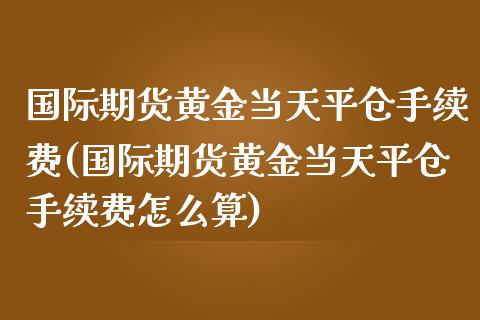 国际期货黄金当天平仓手续费(国际期货黄金当天平仓手续费怎么算)_https://www.xmqjcw.com_期货投资_第1张