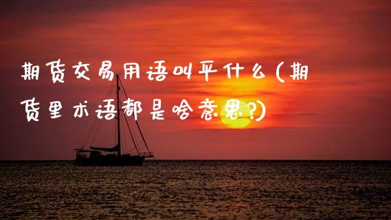 期货交易用语叫平什么(期货里术语都是啥意思?)_https://www.xmqjcw.com_期货投资_第1张