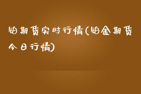 铂期货实时行情(铂金期货今日行情)_https://www.xmqjcw.com_期货百科_第1张