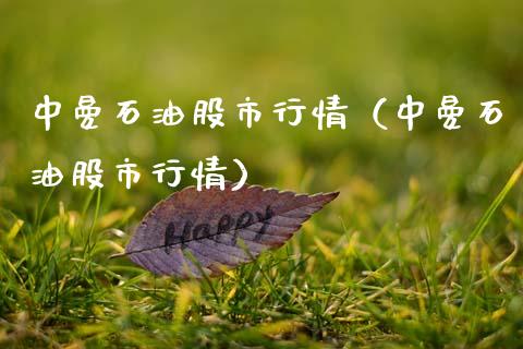 中曼石油股市行情（中曼石油股市行情）_https://www.xmqjcw.com_期货投资_第1张