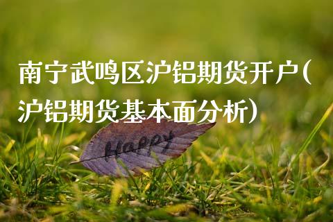 南宁武鸣区沪铝期货开户(沪铝期货基本面分析)_https://www.xmqjcw.com_股票投资_第1张