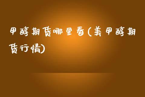 甲醇期货哪里看(醇期货行情)_https://www.xmqjcw.com_基金理财_第1张