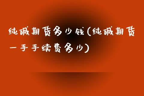 纯碱期货多少钱(纯碱期货一手手续费多少)_https://www.xmqjcw.com_期货投资_第1张