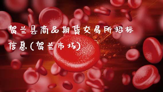 贺兰县商品期货交易所招标信息(贺兰市场)_https://www.xmqjcw.com_期货投资_第1张