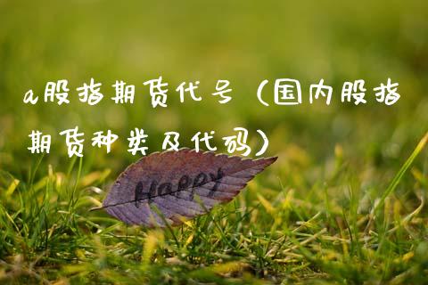 a股指期货代号（国内股指期货种类及代码）_https://www.xmqjcw.com_期货投资_第1张