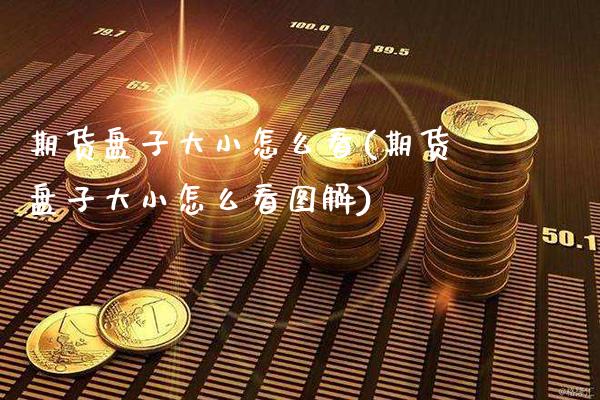 期货盘子大小怎么看(期货盘子大小怎么看图解)_https://www.xmqjcw.com_期货直播室_第1张
