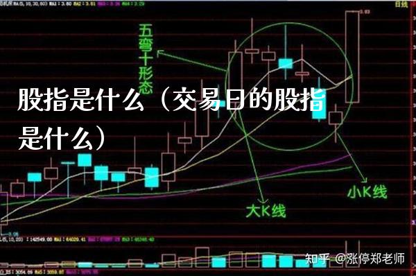 股指是什么（交易日的股指是什么）_https://www.xmqjcw.com_期货投资_第1张