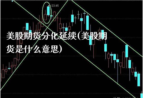 美股期货分化延续(美股期货是什么意思)_https://www.xmqjcw.com_期货行情_第1张