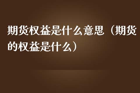 期货权益是什么意思（期货的权益是什么）_https://www.xmqjcw.com_期货直播室_第1张