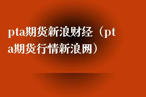 pta期货新浪财经（pta期货行情新浪网）_https://www.xmqjcw.com_期货投资_第1张