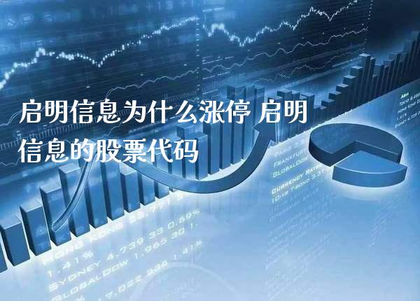 启明信息为什么涨停 启明信息的股票代码_https://www.xmqjcw.com_股票投资_第1张