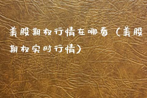 美股期权行情在哪看（美股期权实时行情）_https://www.xmqjcw.com_期货行情_第1张
