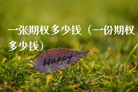 一张期权多少钱（一份期权多少钱）_https://www.xmqjcw.com_期货投资_第1张