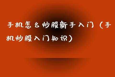 手机怎么炒股新手入门（手机炒股入门知识）_https://www.xmqjcw.com_期货投资_第1张