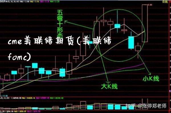cme美联储期货(美联储fomc)_https://www.xmqjcw.com_期货百科_第1张