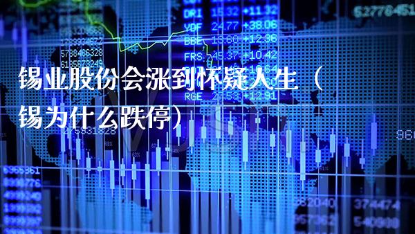 锡业股份会涨到怀疑人生（锡为什么跌停）_https://www.xmqjcw.com_期货行情_第1张