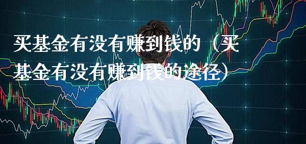 买基金有没有赚到钱的（买基金有没有赚到钱的途径）_https://www.xmqjcw.com_基金理财_第1张