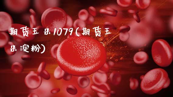 期货玉米1079(期货玉米淀粉)_https://www.xmqjcw.com_期货投资_第1张