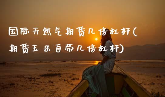 国际天然气期货几倍杠杆(期货玉米自带几倍杠杆)_https://www.xmqjcw.com_期货百科_第1张