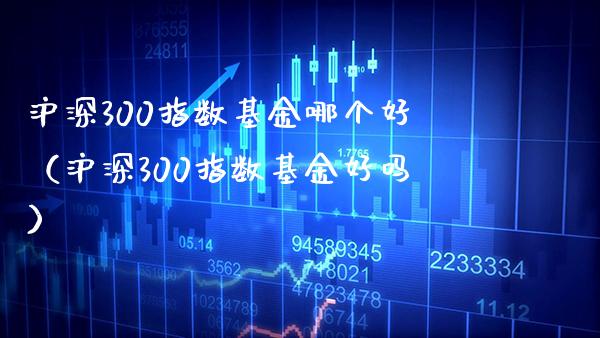 沪深300指数基金哪个好（沪深300指数基金好吗）_https://www.xmqjcw.com_期货直播室_第1张