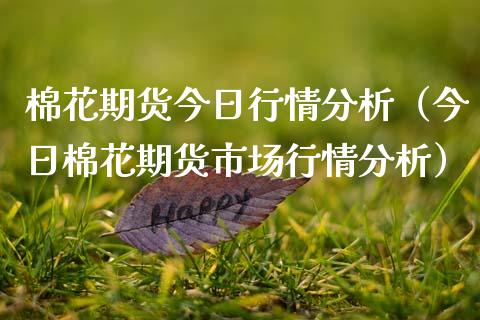 棉花期货今日行情分析（今日棉花期货市场行情分析）_https://www.xmqjcw.com_期货投资_第1张