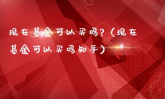 现在基金可以买吗?（现在基金可以买吗知乎）_https://www.xmqjcw.com_基金理财_第1张