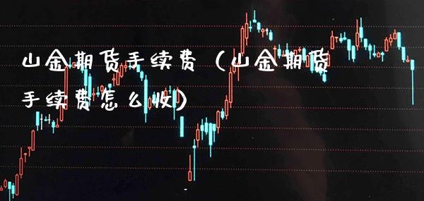 山金期货手续费（山金期货手续费怎么收）_https://www.xmqjcw.com_期货行情_第1张