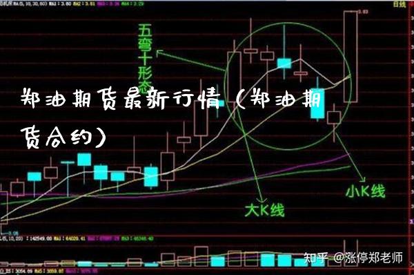 郑油期货最新行情（郑油期货合约）_https://www.xmqjcw.com_期货投资_第1张