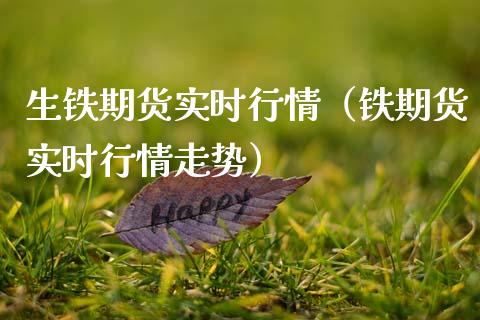 生铁期货实时行情（铁期货实时行情走势）_https://www.xmqjcw.com_期货直播室_第1张