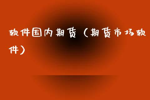 软件国内期货（期货市场软件）_https://www.xmqjcw.com_期货行情_第1张