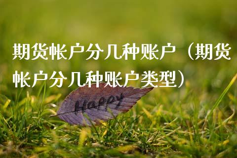 期货帐户分几种账户（期货帐户分几种账户类型）_https://www.xmqjcw.com_期货投资_第1张