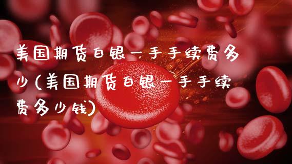 美国期货白银一手手续费多少(美国期货白银一手手续费多少钱)_https://www.xmqjcw.com_期货投资_第1张