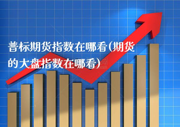 普标期货指数在哪看(期货的大盘指数在哪看)_https://www.xmqjcw.com_期货百科_第1张