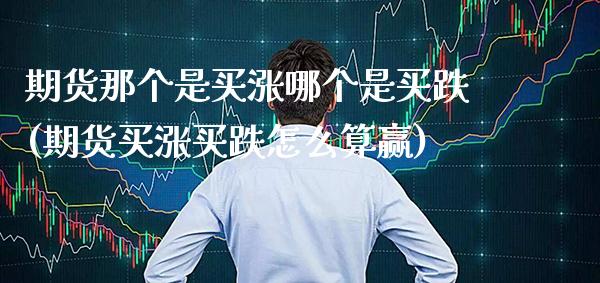 期货那个是买涨哪个是买跌(期货买涨买跌怎么算赢)_https://www.xmqjcw.com_期货投资_第1张