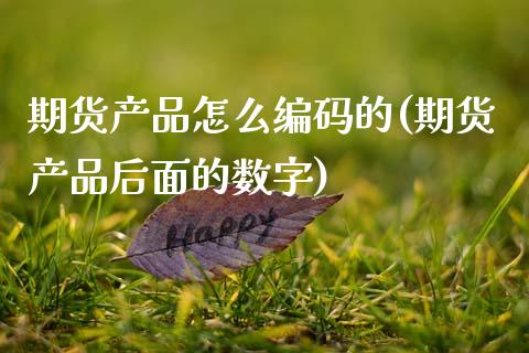 期货产品怎么编码的(期货产品后面的数字)_https://www.xmqjcw.com_期货百科_第1张