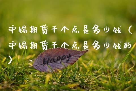 沪锡期货千个点是多少钱（沪锡期货千个点是多少钱的）_https://www.xmqjcw.com_期货行情_第1张