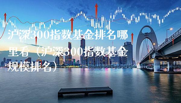 沪深300指数基金排名哪里看（沪深300指数基金规模排名）_https://www.xmqjcw.com_期货行情_第1张