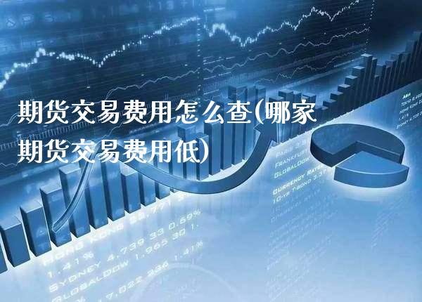 期货交易费用怎么查(哪家期货交易费用低)_https://www.xmqjcw.com_基金理财_第1张
