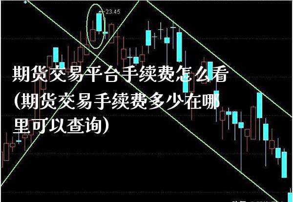 期货交易平台手续费怎么看(期货交易手续费多少在哪里可以查询)_https://www.xmqjcw.com_期货百科_第1张