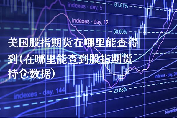美国股指期货在哪里能查得到(在哪里能查到股指期货持仓数据)_https://www.xmqjcw.com_期货百科_第1张